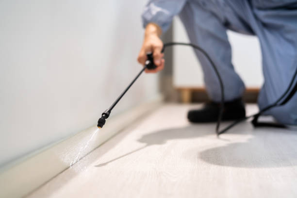 Bed Bug Pre-Treatment Preparation Assessment in Holton