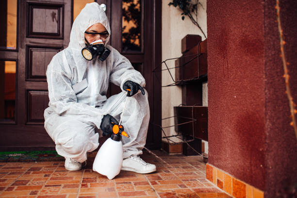 Multi-Unit and Airbnb Bed Bug Protocol in Holton