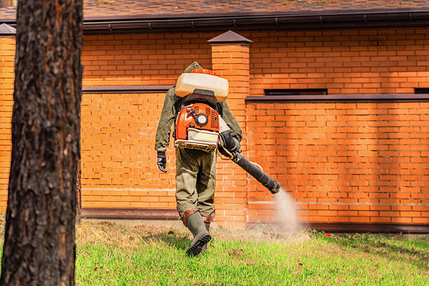 Bed Bug Clearance Verification and Documentation in Holton
